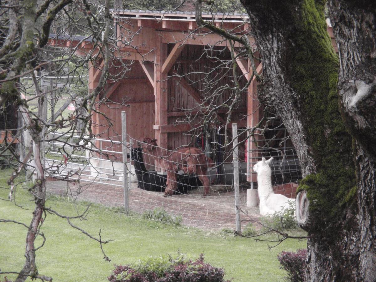 Vorderstoder Pension Alpenhaus מראה חיצוני תמונה